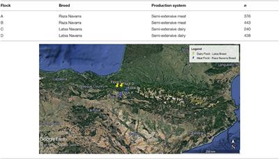 Multi-Platform Detection of Small Ruminant Lentivirus Antibodies and Provirus as Biomarkers of Production Losses